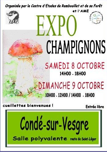 2011 10 Expo Champignons Conde Sur Vesgre